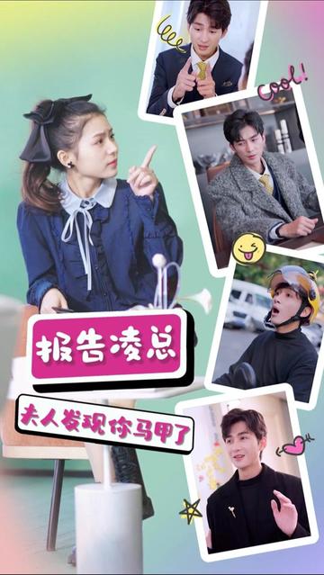 報(bào)告凌總，夫人發(fā)現(xiàn)你馬甲了(全集)