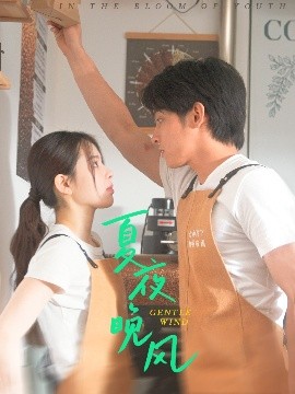 夏夜晚風(全集)