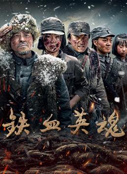 鐵血英魂(全集)