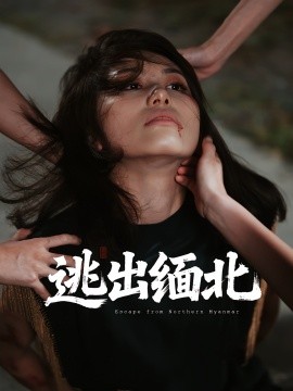 逃出緬北(全集)