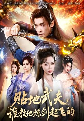 貼地武夫誰(shuí)教他練劍起飛的(全集)