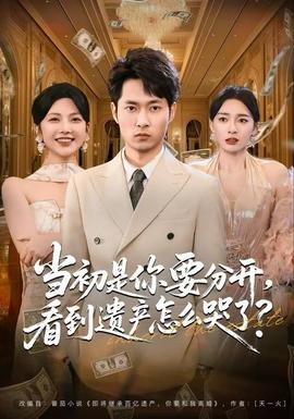 當初是你要分開，看到遺產(chǎn)怎么哭了？(全集)