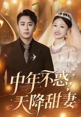 中年不惑，天降甜妻(全集)