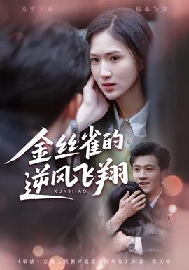 金絲雀的逆風(fēng)飛翔(全集)