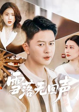 雪落無(wú)回聲(全集)