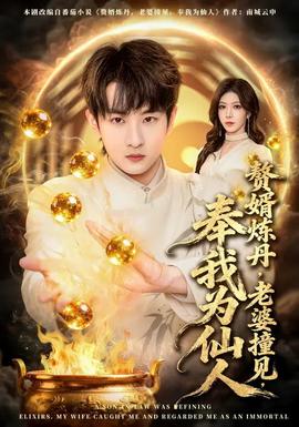 贅婿煉丹，老婆撞見(jiàn)，奉我為仙人(全集)